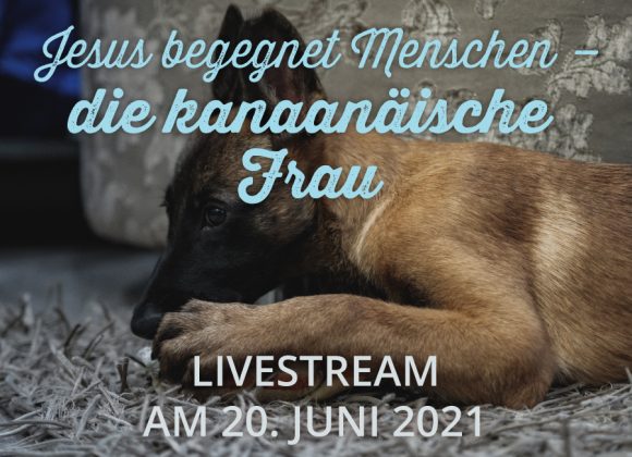 Livestream am 20.06. Livestream am 20.06.