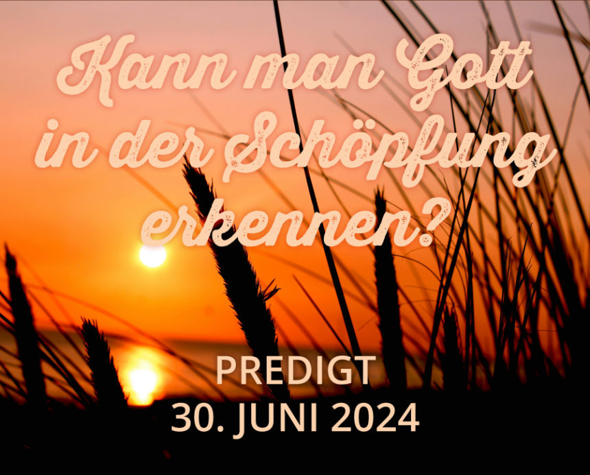 Predigt am 30.06.